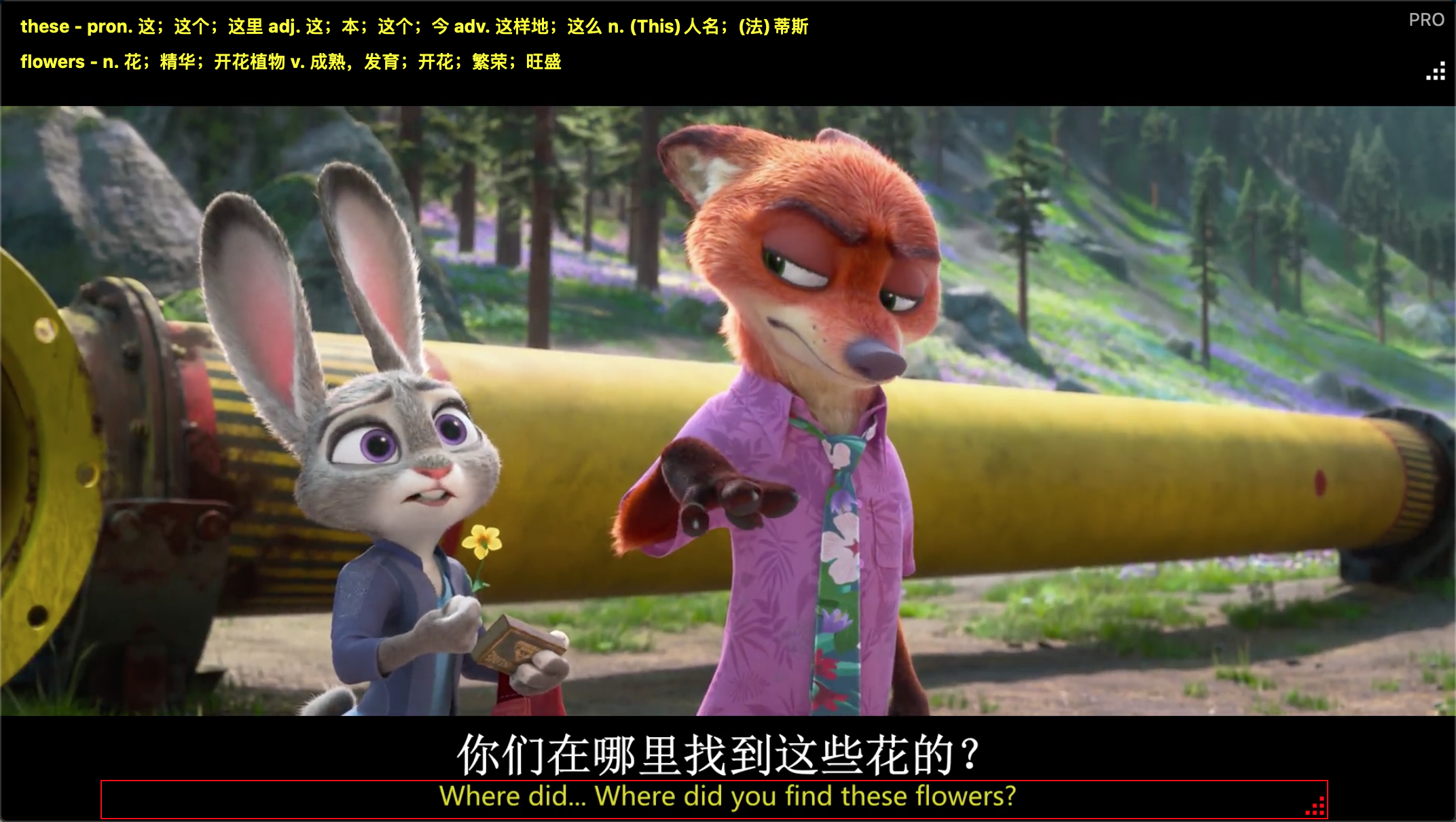 字幕单词注释，积累英语词汇
